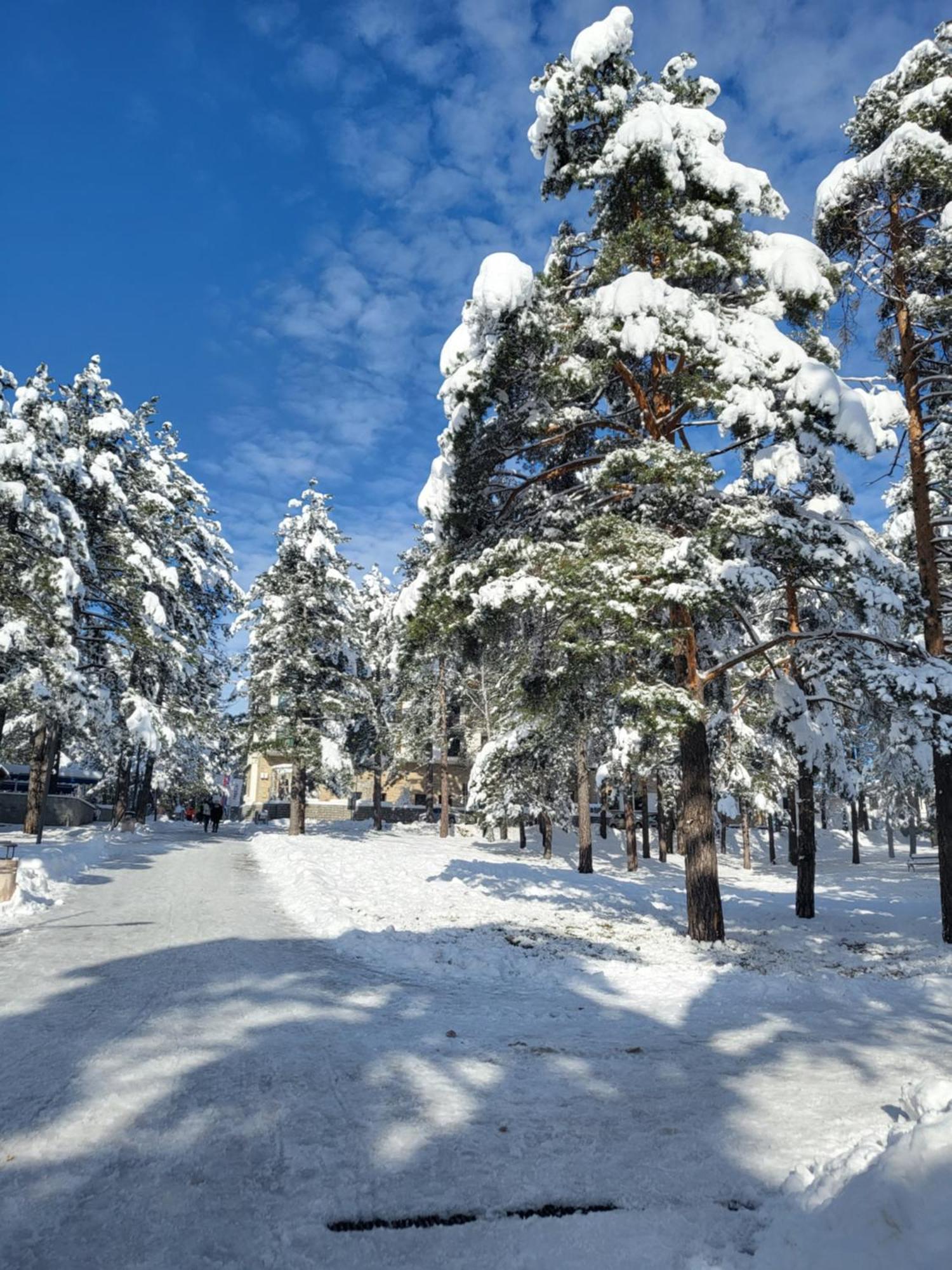 Apartments Vila Velickovic Златибор Екстериор снимка