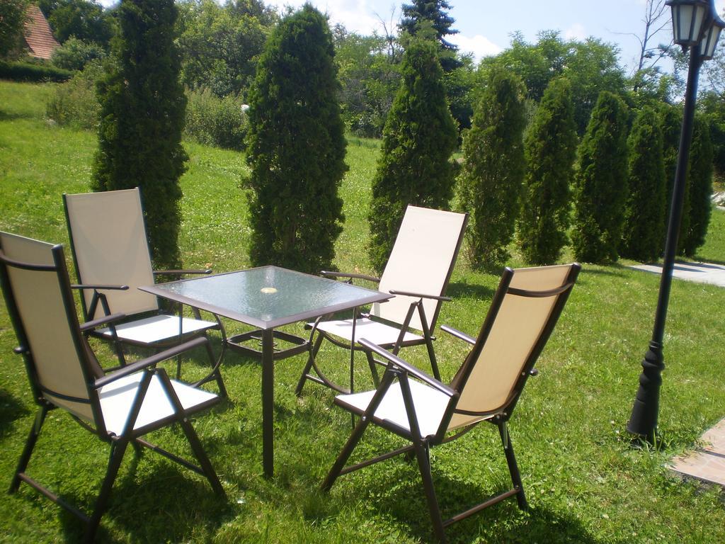 Apartments Vila Velickovic Златибор Екстериор снимка