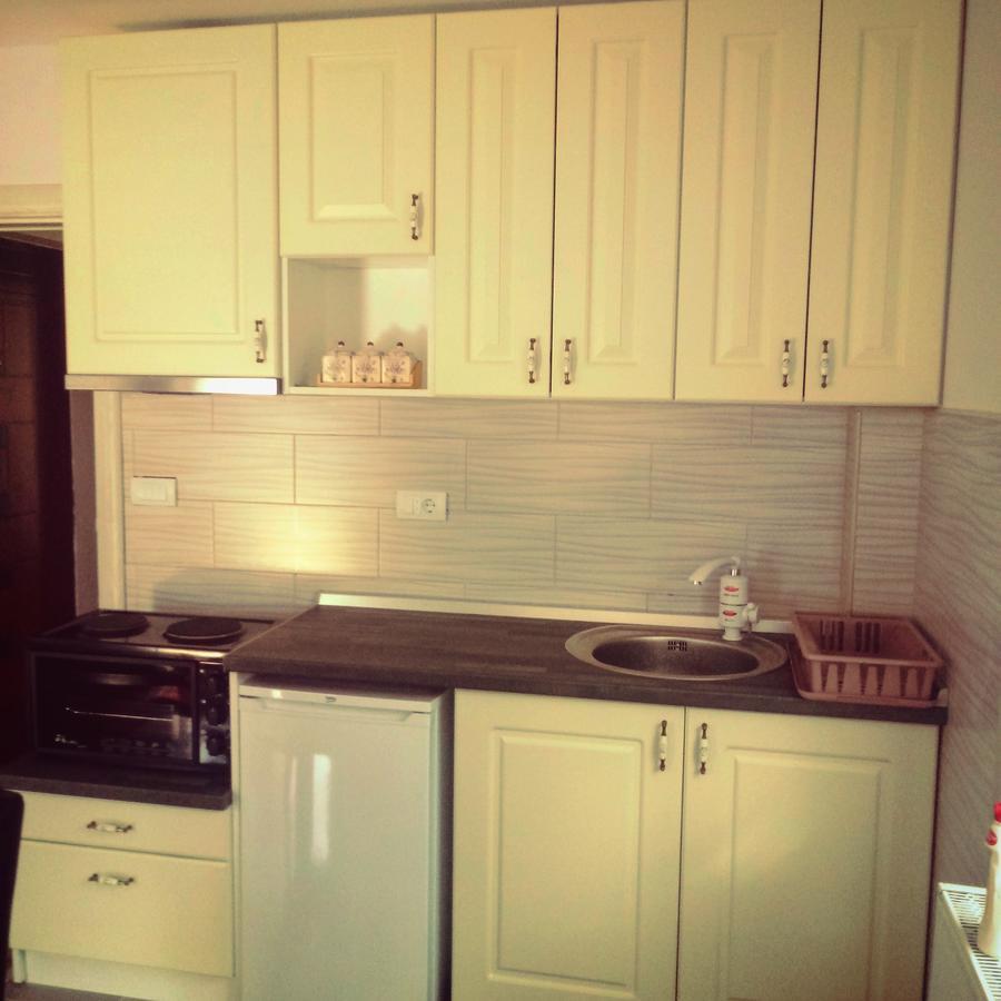 Apartments Vila Velickovic Златибор Екстериор снимка