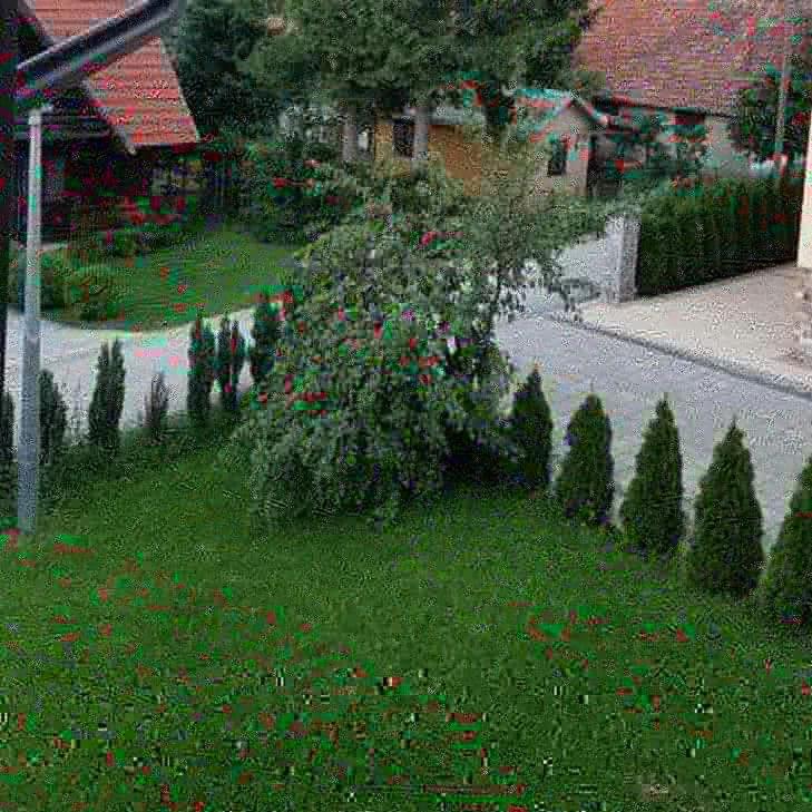 Apartments Vila Velickovic Златибор Екстериор снимка
