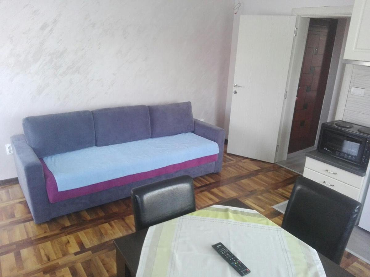 Apartments Vila Velickovic Златибор Екстериор снимка