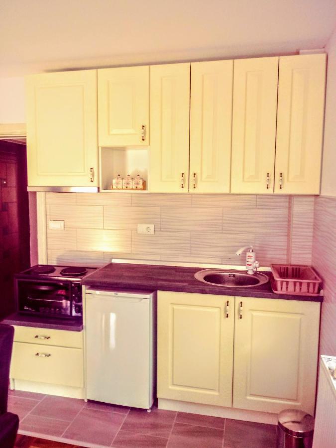 Apartments Vila Velickovic Златибор Екстериор снимка